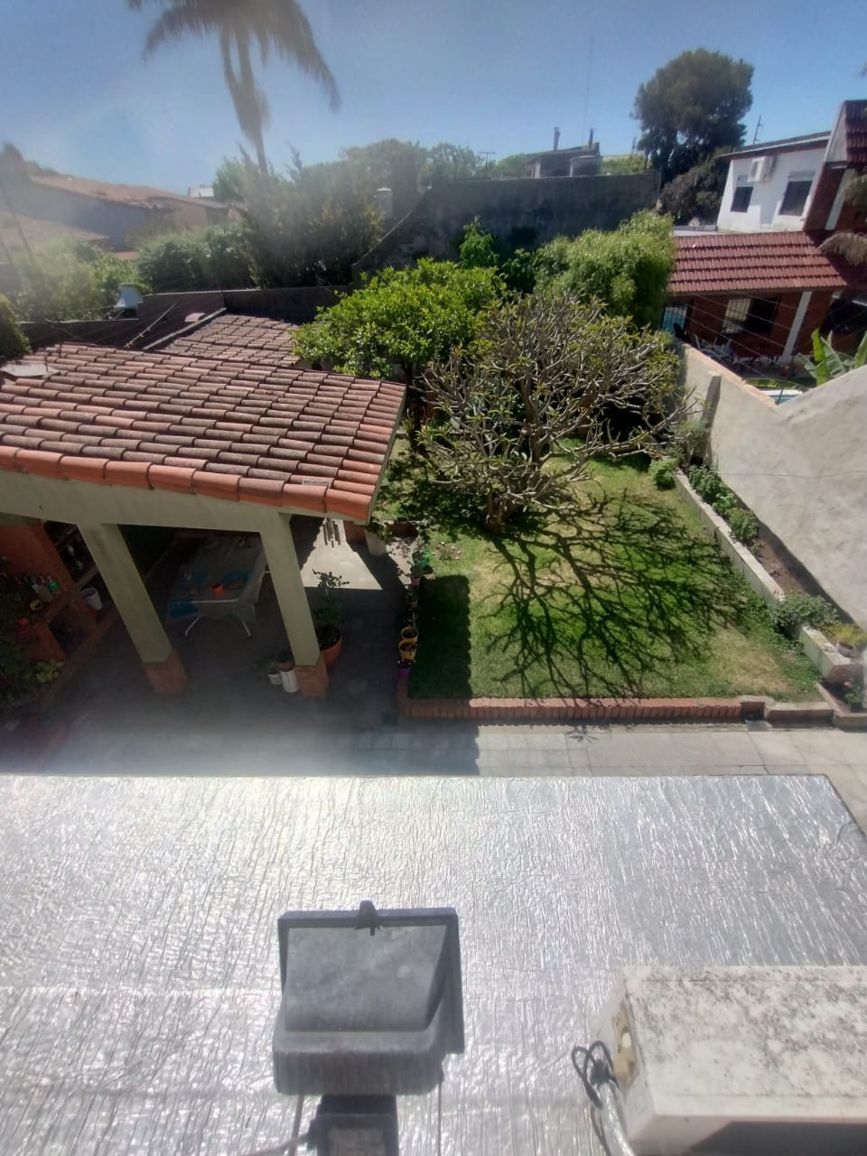 Imagen10